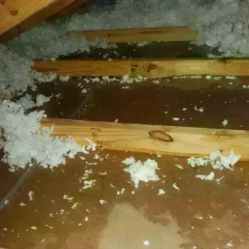 Attic Water Damage in Hahnville, LA